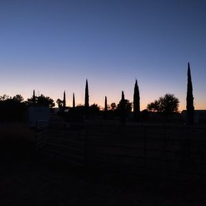 Meet your Posher, Richard